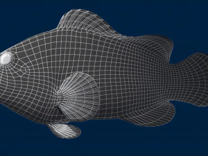 clownfishlowpolyversion 3D Model