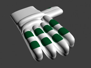cricket glove 3D Model