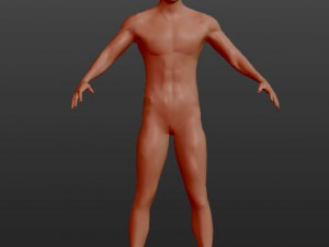 human-tom 3D Model