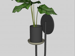 pot plant 01 3D Model