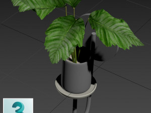 pot plant 01 3D Model