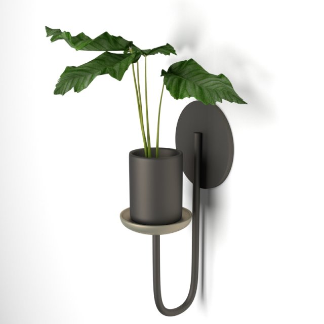 pot plant 01 3D Model .c4d .max .obj .3ds .fbx .stl .blend 