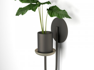 pot plant 01 3D Model