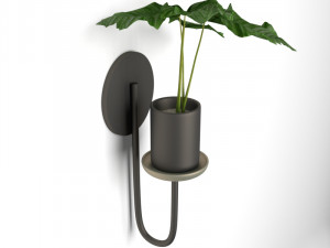 pot plant 01 3D Model