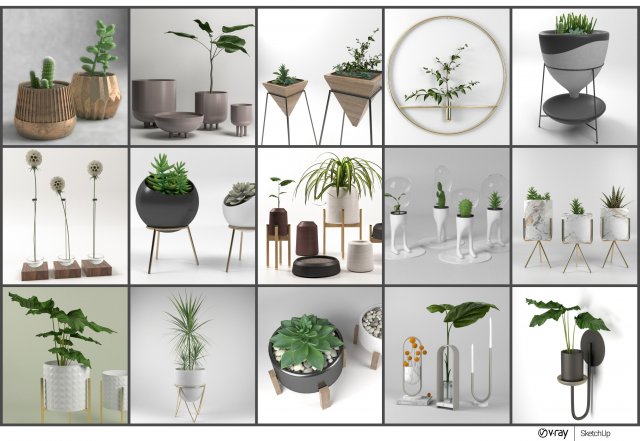 pot and plant collection Model 3D .c4d .max .obj .3ds .fbx .stl .blend 