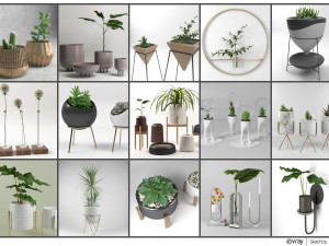pot and plant collection 3D Model