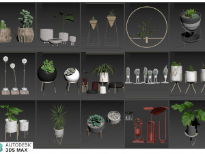pot and plant collection Model 3D