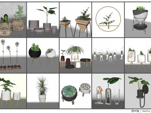 pot and plant collection Model 3D