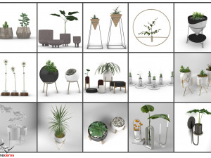 pot and plant collection Model 3D