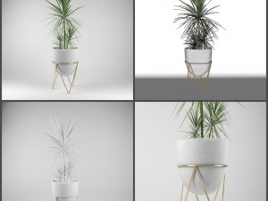 pot and plant collection Model 3D