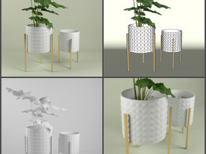 pot and plant collection Model 3D