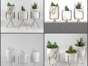 pot and plant collection Model 3D