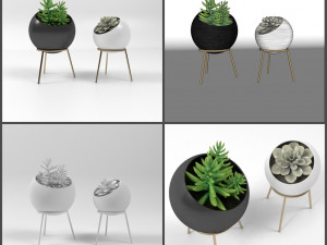pot and plant collection Model 3D