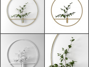 pot and plant collection Model 3D