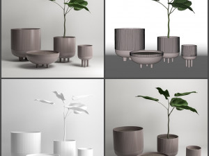 pot and plant collection Model 3D