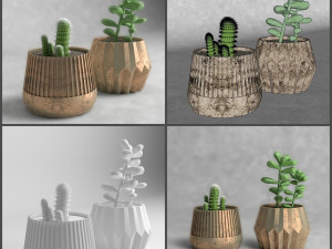 pot and plant collection Model 3D