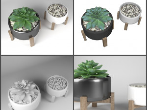 pot and plant collection Model 3D