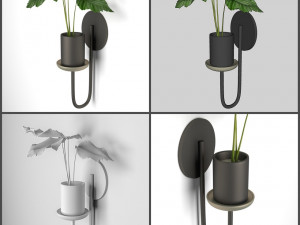 pot and plant collection Model 3D