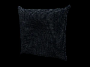 RavmCOJs 3D Model