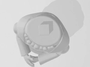 frida kahlo 3d print model 3D Print Model