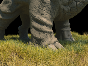 rhino Modello 3D