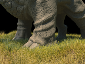 rhino Modello 3D