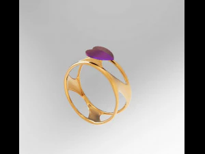 ring organic 3D Model