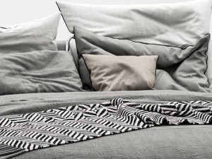 bb italia charles bed Modèle 3D