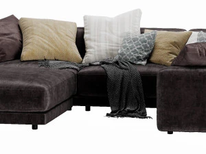 布兰奇&middot;图托截面 3D 模型