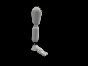ROBOT ARTICULAR MOVEMENT 3D Model