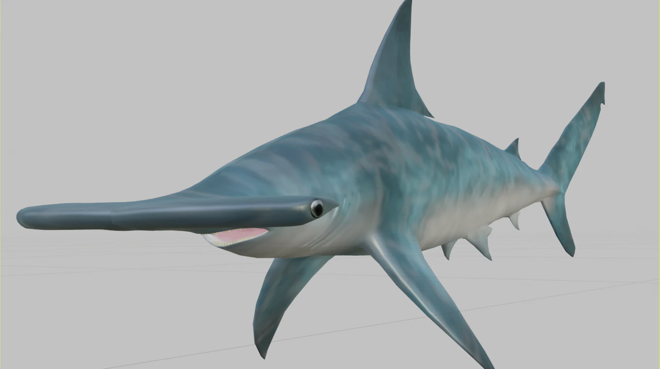 hammerhead 3D Model .c4d .max .obj .3ds .fbx .stl .blend 