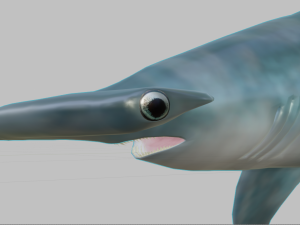 hammerhead 3D 模型