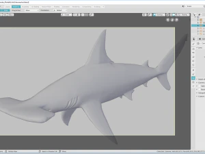 hammerhead 3D Model