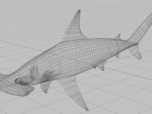hammerhead 3D Model
