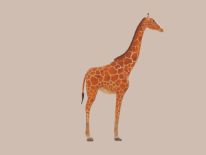 giraffe Modelo 3D