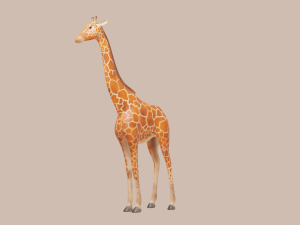 giraffe 3D Model