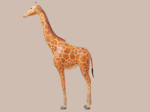 giraffe Modelo 3D