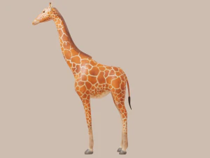 giraffe 3D Model