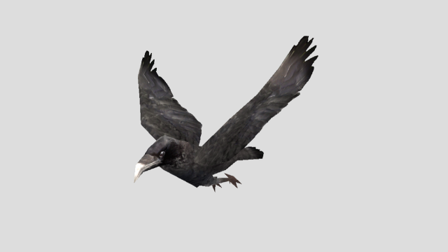 crow 3D 모델 .c4d .max .obj .3ds .fbx .stl .blend 