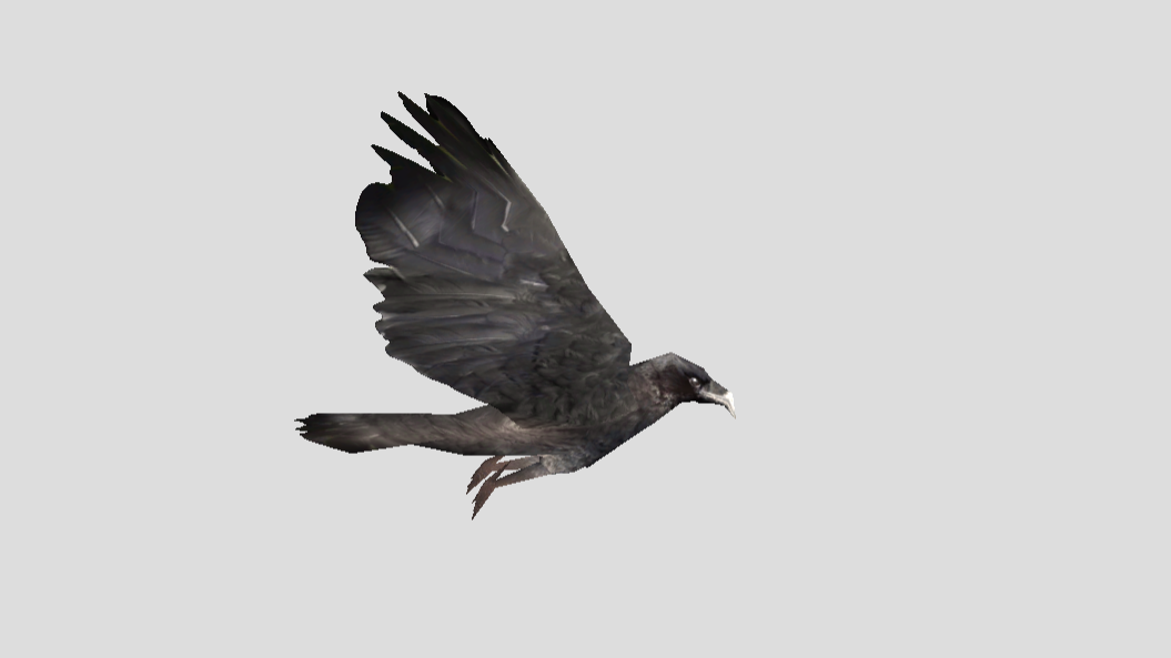 3д модель вороны. Низкополигональная модель ворон для 3д принтера. 3д модель низкополигональная птица. Ворон principalis. Traditional flying crow.