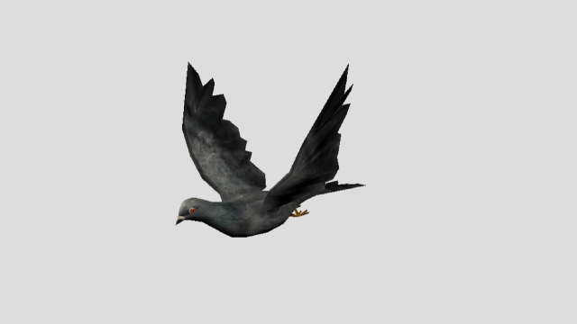 pigeon 3D Model .c4d .max .obj .3ds .fbx .stl .blend 