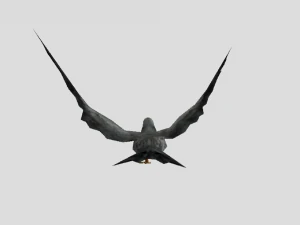 merpati Model 3D