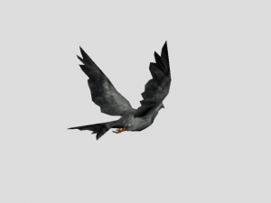 pigeon 3D Model
