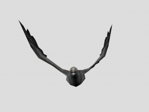 pigeon 3D Model