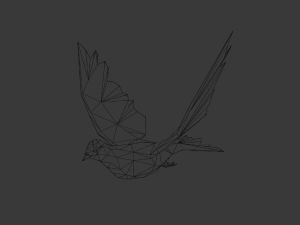 pigeon 3D Model