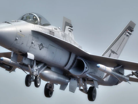 F18 Hornet - With Cocpit - Fully Rigged - Changeable decal and text 3D Model