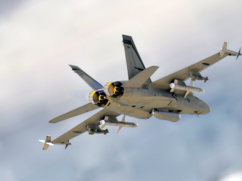 F 18 Hornet – z kokpitem – z pełnym osprzętem – wymienna naklejka i tekst Model 3D