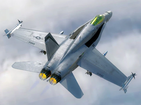 F18 Hornet - With Cocpit - Fully Rigged - Changeable decal and text 3D Model