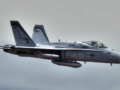 F18 Hornet - With Cocpit - Fully Rigged - Changeable decal and text 3D Model