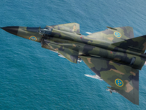 Saab 37 ViggenForest-High Quality Textures with Cocpit-Fully Rigged 3D Model